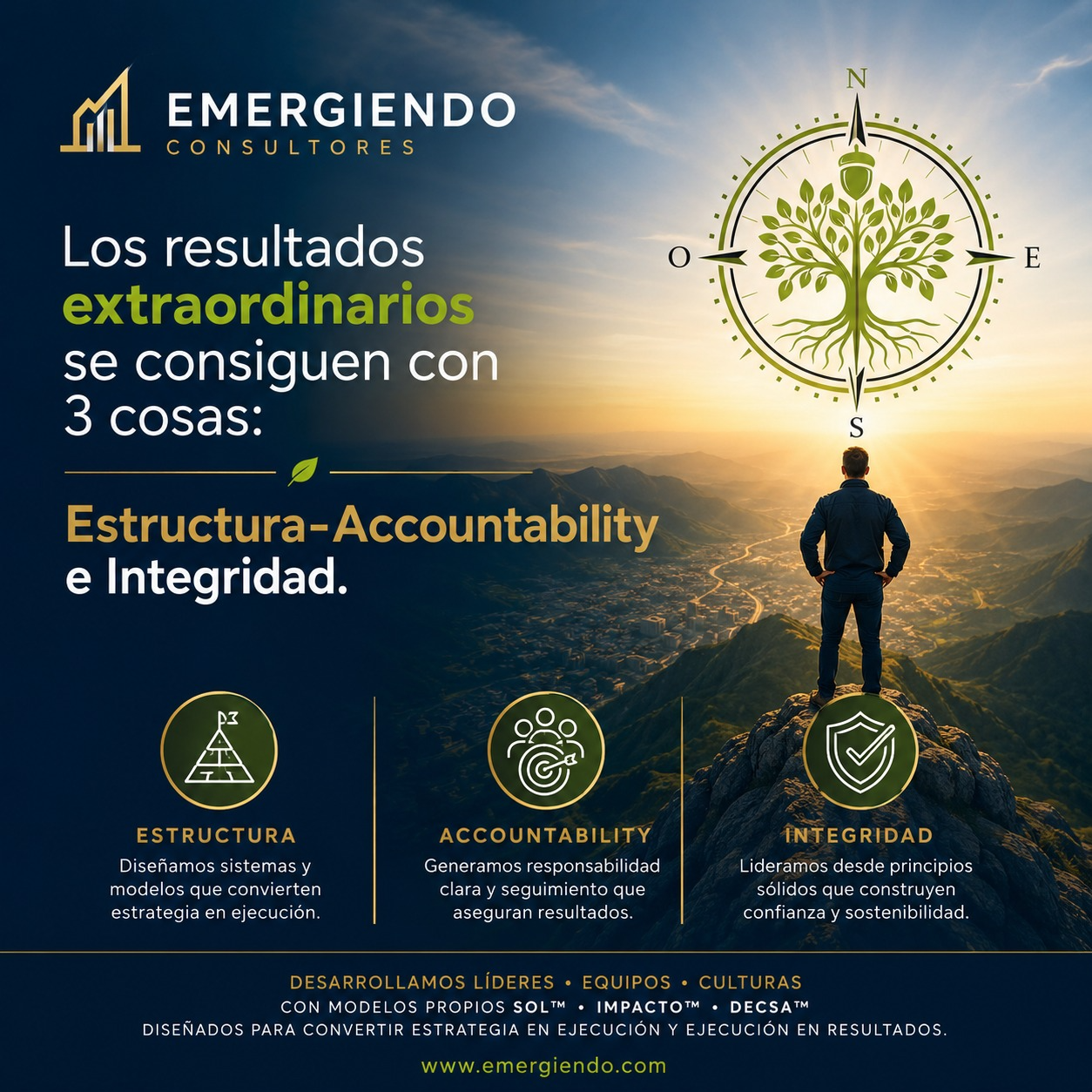 Emergiendo Consultores — Estructura, Accountability e Integridad